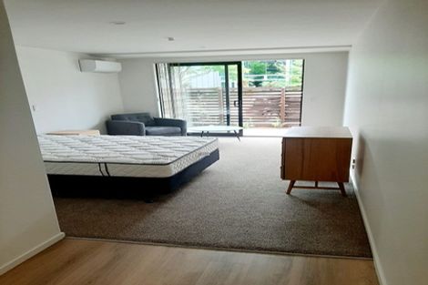 Photo of property in 118 Salisbury Street, Ashhurst, 4810