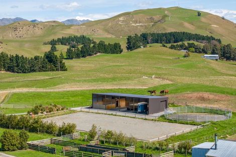 Photo of property in 59 Marama Road, Seddon, 7285