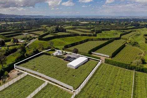 Photo of property in 36 Reeves Road, Te Ranga, Te Puke, 3188