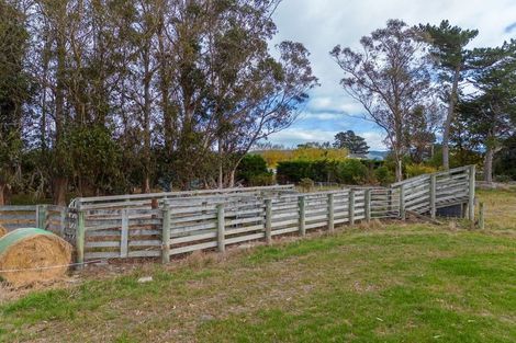 Photo of property in 179 Mcnamaras Road, Waimate, 7979
