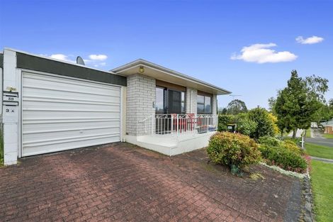 Photo of property in 3a Wavell Place, Putaruru, 3411