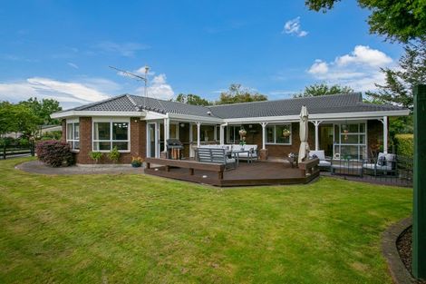 Photo of property in 10 Rowling Place, Leamington, Cambridge, 3432