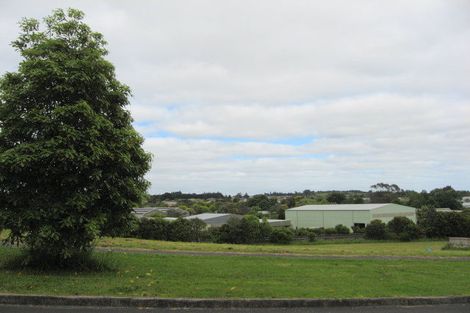 Photo of property in 19 Totara Avenue, Pukekohe, 2120