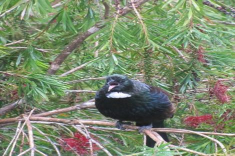 Photo of property in 45 Aucks Road, Russell, 0272