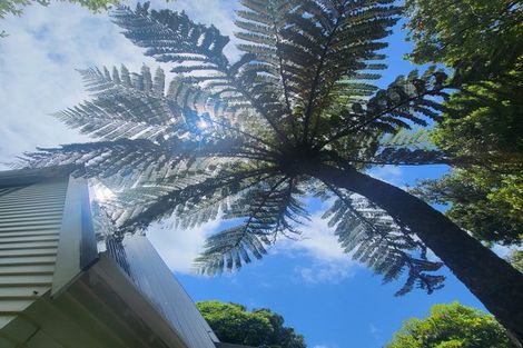 Photo of property in 64 Norway Street, Aro Valley, Wellington, 6012