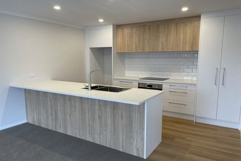 Photo of property in 39 Sherborne Street, St Albans, Christchurch, 8014