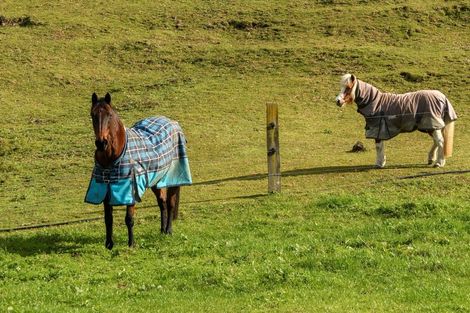 Photo of property in 80 Upland Road, Aongatete, Katikati, 3181
