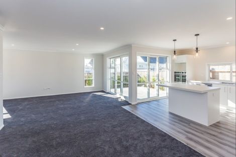 Photo of property in 65 Karaka Crescent, Levin, 5510