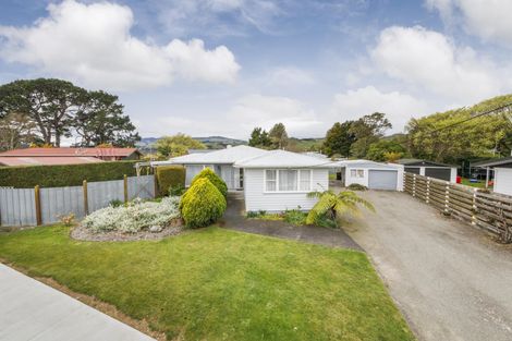 Photo of property in 202 Salisbury Street, Ashhurst, 4810