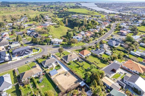 Photo of property in 41a Maxwell Avenue, Durie Hill, Wanganui, 4500