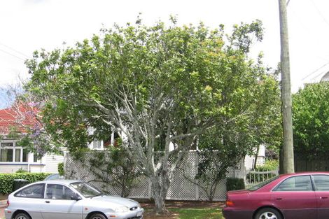 Photo of property in 11 Norana Avenue, Remuera, Auckland, 1050