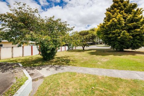 Photo of property in 20 Liverpool Street, Takaro, Palmerston North, 4412