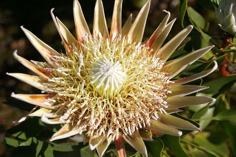 Photo of property in 162e Matokitoki Valley Road, Matokitoki, Gisborne, 4071