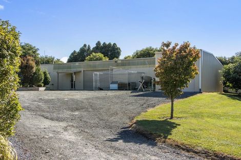 Photo of property in 360 Wharawhara Road, Tahawai, Katikati, 3178