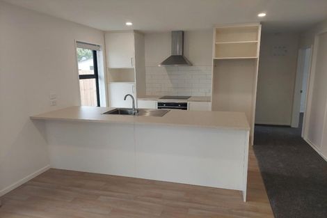 Photo of property in 16a Darcy Street, Richmond, 7020