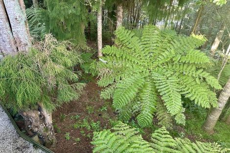 Photo of property in 77e Colwill Road, Massey, Auckland, 0614