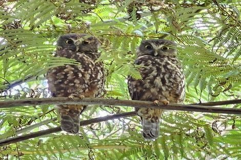 Photo of property in 128 Spur Road, Stillwater, Silverdale, 0993