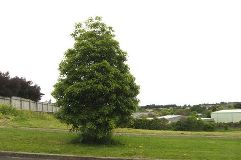 Photo of property in 17 Totara Avenue, Pukekohe, 2120