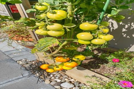 Photo of property in 5/36 Hine Street, New Plymouth, 4310