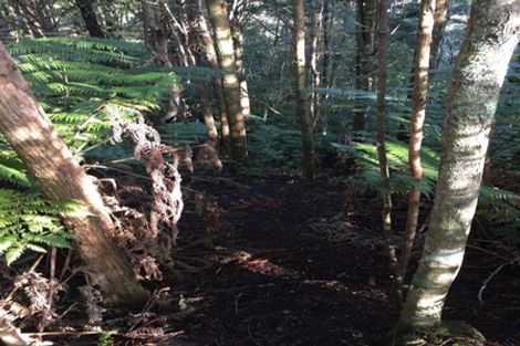 Photo of property in 450 Puketotara Road, Waipapa, 0295