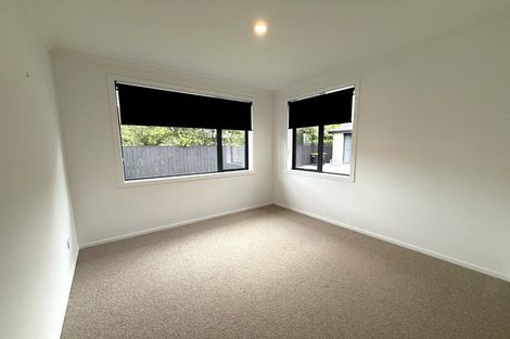 Photo of property in 2b Elzy Street, Blenheim, 7201