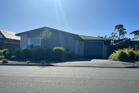 Photo of property in 96 Sentinel Avenue, Omokoroa, 3114