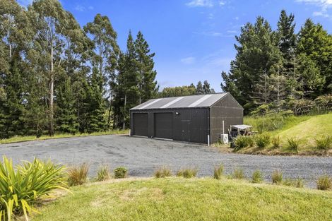 Photo of property in 61 Big Stone Road, Brighton, 9091