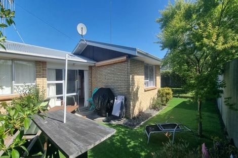 Photo of property in 22b Leander Street, Mount Maunganui, 3116