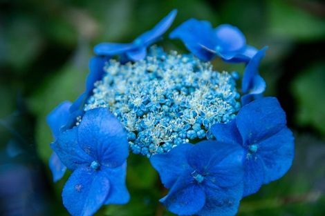 Photo of property in 1234 Paekakariki Hill Road, Paekakariki Hill, Porirua, 5381