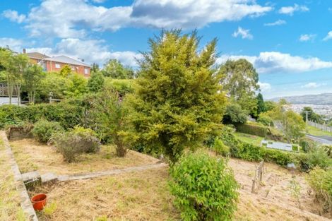 Photo of property in 115 Riselaw Road, Calton Hill, Dunedin, 9012
