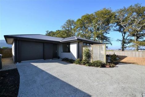 Photo of property in 59 Malone Crescent, Richmond, 7020