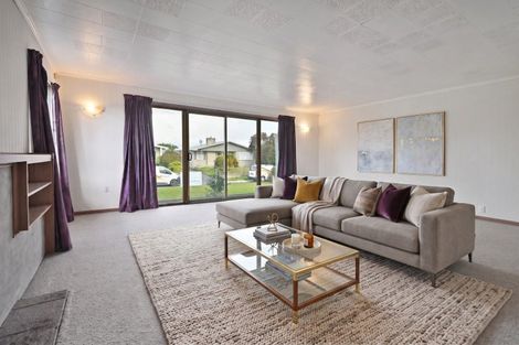 Photo of property in 104 Ballantyne Street, Frimley, Hastings, 4120