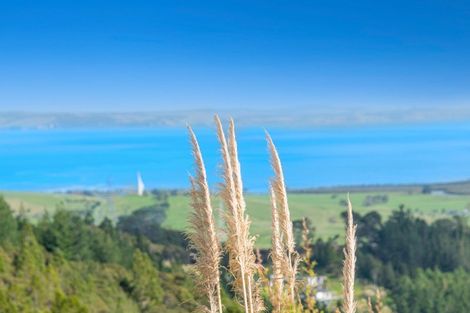 Photo of property in 223 Tuhirangi Road, Makarau, Warkworth, 0984
