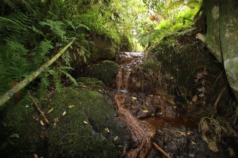 Photo of property in 41 Pinehill Road, Pakaraka, Kaikohe, 0472