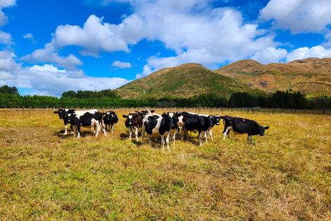 Photo of property in 710 Sommerville Road, Tangowahine, Dargaville, 0372