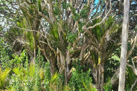 Photo of property in 872 Bickerstaffe Road, Maungaturoto, 0587