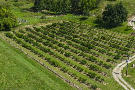 Photo of property in 55 Harrington Road, Muriwai, Gisborne, 4072