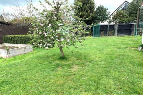 Photo of property in 50 Mckenzie Street, Geraldine, 7930