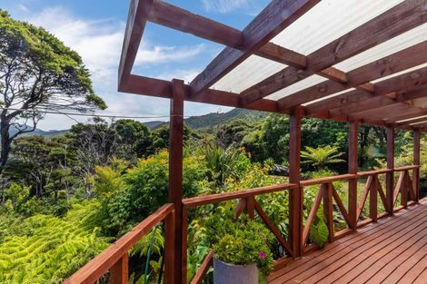 Photo of property in 800 Buffalo Road, Coromandel, 3506