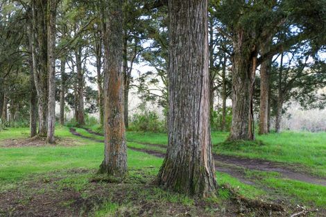 Photo of property in 205 Te Rena Road, Kakahi, 3989