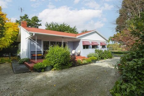 Photo of property in 38 Oak Street, Mangapapa, Gisborne, 4010