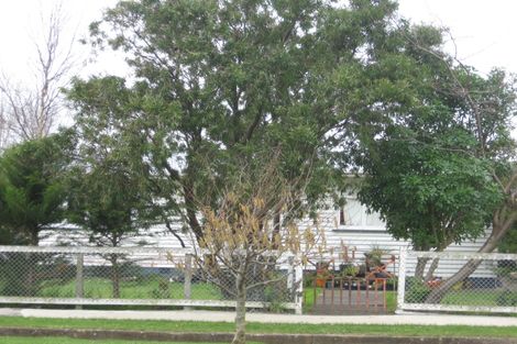 Photo of property in 3 Rutland Street, Levin, 5510