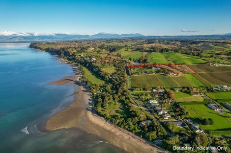 Photo of property in 50 Cliff Road, Tasman, Upper Moutere, 7173