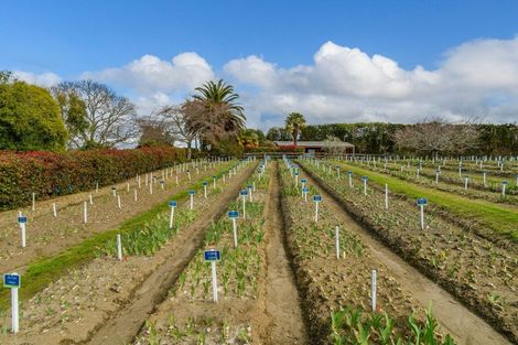 Photo of property in 138 Walford Road, Aongatete, Katikati, 3181