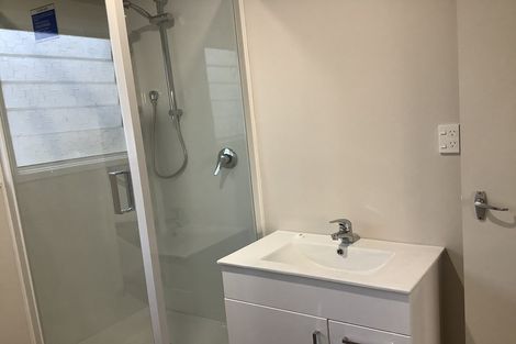 Photo of property in 12 Wellington Street, Hamilton East, Hamilton, 3216