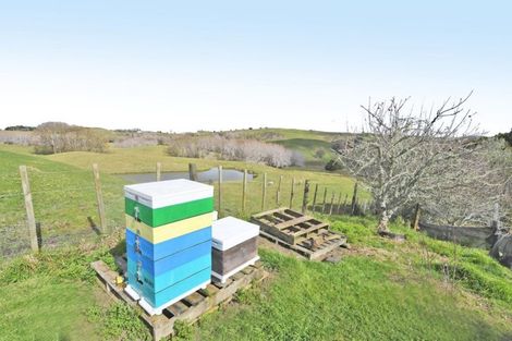 Photo of property in 301 Ranganui Road, Kaiwaka, 0573