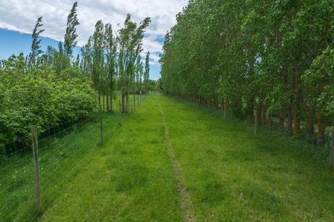 Photo of property in 420a Woodfields Road, Swannanoa, 7475