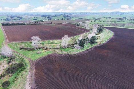 Photo of property in 59 Lee Road, Te Kohanga, 2693