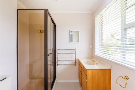 Photo of property in 453 Ruahine Street, Terrace End, Palmerston North, 4410