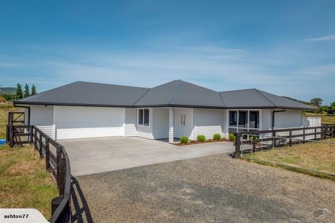 Photo of property in 320 Pokuru Road, Pokuru, Te Awamutu, 3875